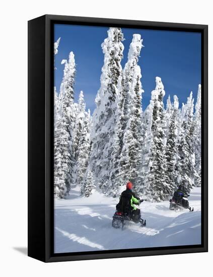 Snowmobilers Riding Through a Forest of Hoar Frosted Trees on Two Top Mountain, West Yellowstone, M-Kimberly Walker-Framed Stretched Canvas