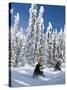 Snowmobilers Riding Through a Forest of Hoar Frosted Trees on Two Top Mountain, West Yellowstone, M-Kimberly Walker-Stretched Canvas