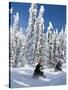 Snowmobilers Riding Through a Forest of Hoar Frosted Trees on Two Top Mountain, West Yellowstone, M-Kimberly Walker-Stretched Canvas