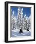 Snowmobilers Riding Through a Forest of Hoar Frosted Trees on Two Top Mountain, West Yellowstone, M-Kimberly Walker-Framed Photographic Print