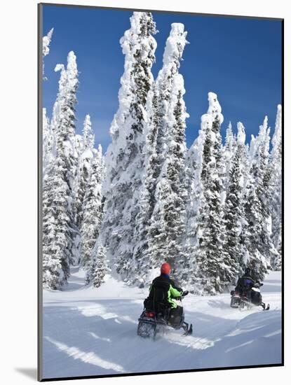 Snowmobilers Riding Through a Forest of Hoar Frosted Trees on Two Top Mountain, West Yellowstone, M-Kimberly Walker-Mounted Photographic Print