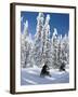 Snowmobilers Riding Through a Forest of Hoar Frosted Trees on Two Top Mountain, West Yellowstone, M-Kimberly Walker-Framed Photographic Print