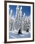 Snowmobilers Riding Through a Forest of Hoar Frosted Trees on Two Top Mountain, West Yellowstone, M-Kimberly Walker-Framed Photographic Print