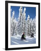 Snowmobilers Riding Through a Forest of Hoar Frosted Trees on Two Top Mountain, West Yellowstone, M-Kimberly Walker-Framed Photographic Print