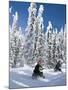 Snowmobilers Riding Through a Forest of Hoar Frosted Trees on Two Top Mountain, West Yellowstone, M-Kimberly Walker-Mounted Photographic Print