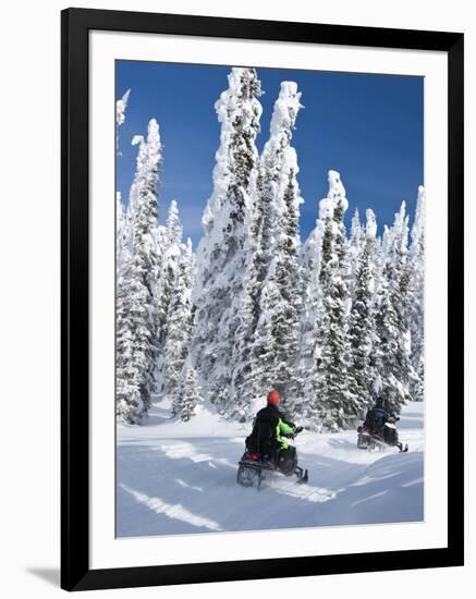 Snowmobilers Riding Through a Forest of Hoar Frosted Trees on Two Top Mountain, West Yellowstone, M-Kimberly Walker-Framed Photographic Print