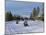 Snowmobiling in the Western Area of Yellowstone National Park, Montana, USA-Alison Wright-Mounted Photographic Print