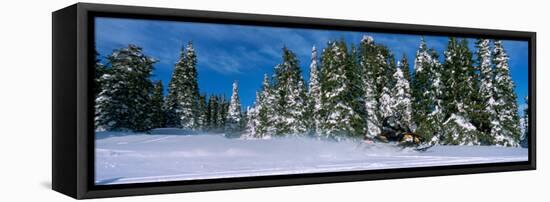 Snowmobiling in Yellowstone National Forest, CA-null-Framed Stretched Canvas