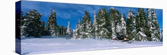 Snowmobiling in Yellowstone National Forest, CA-null-Stretched Canvas