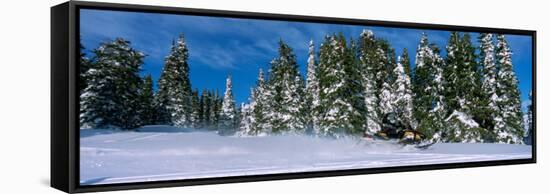 Snowmobiling in Yellowstone National Forest, CA-null-Framed Stretched Canvas