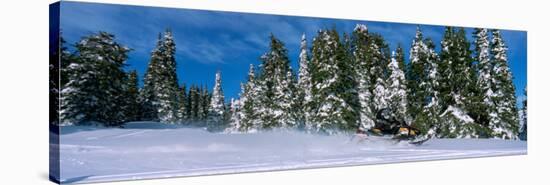 Snowmobiling in Yellowstone National Forest, CA-null-Stretched Canvas