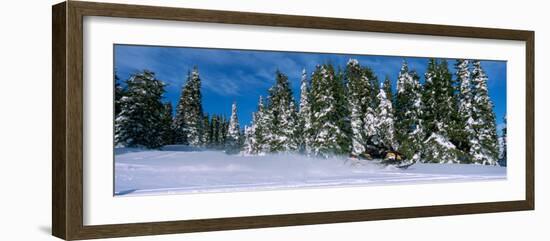 Snowmobiling in Yellowstone National Forest, CA-null-Framed Photographic Print