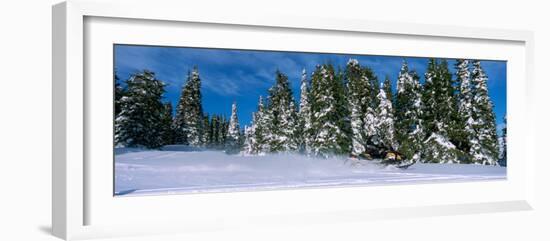 Snowmobiling in Yellowstone National Forest, CA-null-Framed Photographic Print