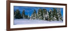 Snowmobiling in Yellowstone National Forest, CA-null-Framed Photographic Print