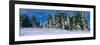 Snowmobiling in Yellowstone National Forest, CA-null-Framed Photographic Print