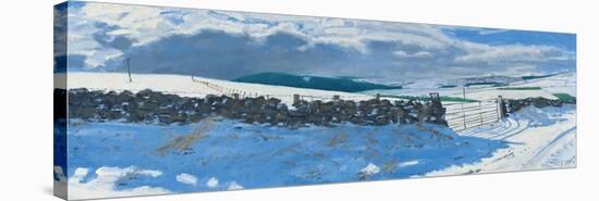 Snowscape, Early March, 2014-Charles Simpson-Stretched Canvas