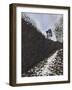 Snowscape, Sussex-Anthony Amies-Framed Giclee Print