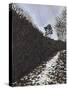 Snowscape, Sussex-Anthony Amies-Stretched Canvas