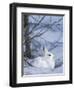 Snowshoe Hare, Arctic National Wildlife Refuge, Alaska, USA-Hugh Rose-Framed Photographic Print