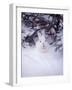 Snowshoe Hare, MT-John Luke-Framed Photographic Print