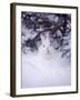 Snowshoe Hare, MT-John Luke-Framed Photographic Print
