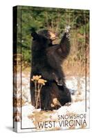 Snowshoe, West Virginia - Bear Playing with Snow-Lantern Press-Stretched Canvas