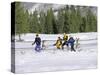 Snowshoeing, Sun Valley, Idaho, USA-null-Stretched Canvas