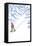 Snowshoer Stylized-Lantern Press-Framed Stretched Canvas