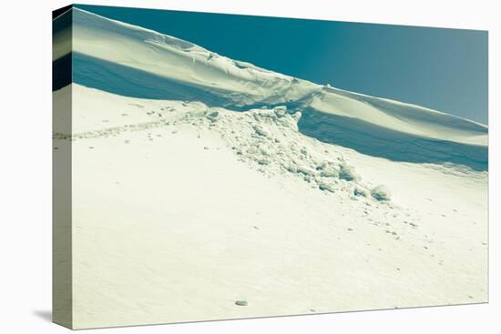 Snowslide-Anze Bizjan-Stretched Canvas
