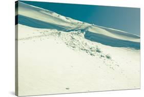 Snowslide-Anze Bizjan-Stretched Canvas