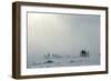 Snowstorm in Tundra Landscape with Trees. Low Visibility Conditions due to a Snow Storm in Tundra F-Sergey Uryadnikov-Framed Photographic Print