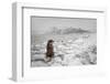 Snowstorm-Bragi Ingibergsson --Framed Photographic Print