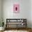 Snowtap - Flamingo Photobomb-Trends International-Poster displayed on a wall