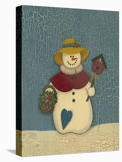 Snowwoman with Crackle Background-Debbie McMaster-Stretched Canvas