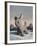 Snowy, 2010,-Peter Jones-Framed Giclee Print