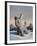 Snowy, 2010,-Peter Jones-Framed Giclee Print