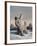 Snowy, 2010,-Peter Jones-Framed Giclee Print