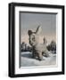 Snowy, 2010,-Peter Jones-Framed Giclee Print