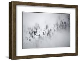 Snowy alpine landscape , Gran Paradiso National Park, Italy-David Pattyn-Framed Photographic Print