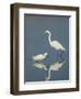Snowy and Great Egrets-Arthur Morris-Framed Photographic Print