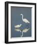 Snowy and Great Egrets-Arthur Morris-Framed Photographic Print