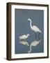 Snowy and Great Egrets-Arthur Morris-Framed Photographic Print