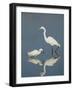 Snowy and Great Egrets-Arthur Morris-Framed Photographic Print