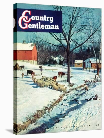 "Snowy Barnyard," Country Gentleman Cover, February 1, 1948-J.c. Allen-Stretched Canvas