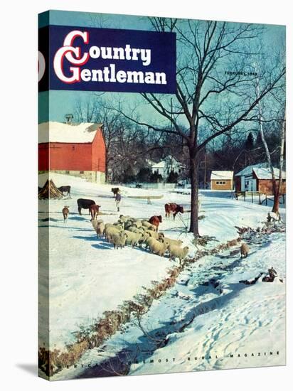 "Snowy Barnyard," Country Gentleman Cover, February 1, 1948-J.c. Allen-Stretched Canvas