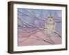 Snowy Barred Owl-Michelle Faber-Framed Giclee Print