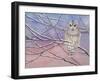 Snowy Barred Owl-Michelle Faber-Framed Giclee Print