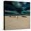 Snowy Beach-Chris Ross Williamson-Stretched Canvas