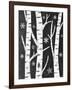 Snowy Birches-Mary Urban-Framed Art Print