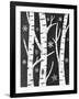 Snowy Birches-Mary Urban-Framed Art Print